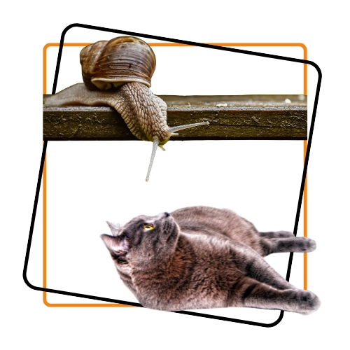 Black and White Lightning Charge Technology Logo (4)